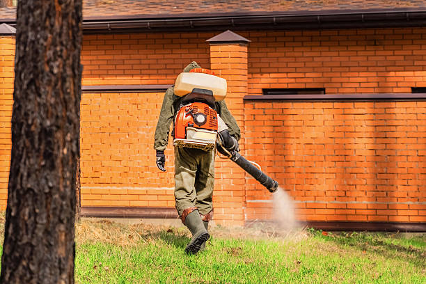 Trusted Ant Control service in San Marino, CA - Nex Pest Control